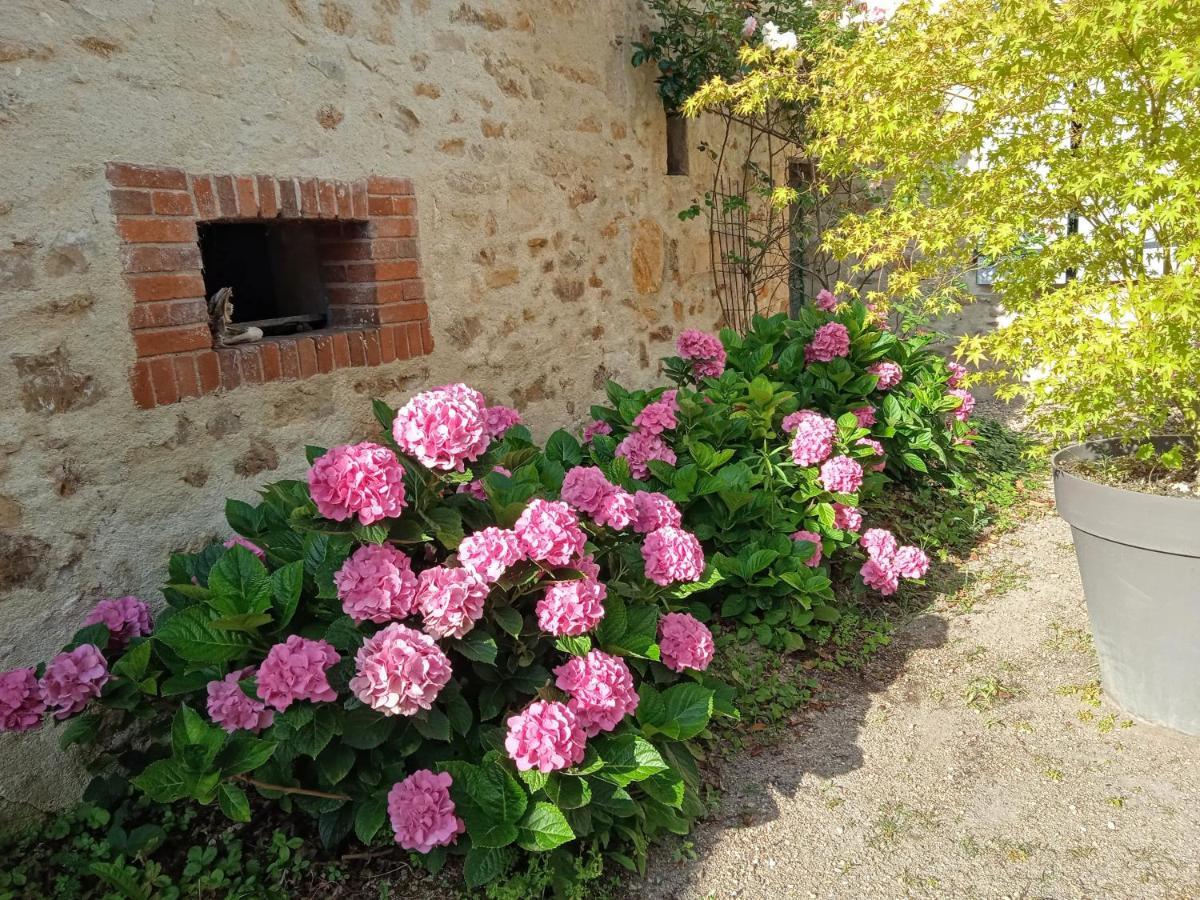 Bed and Breakfast L'Amalgam' Ainay-le-Vieil Exterior foto
